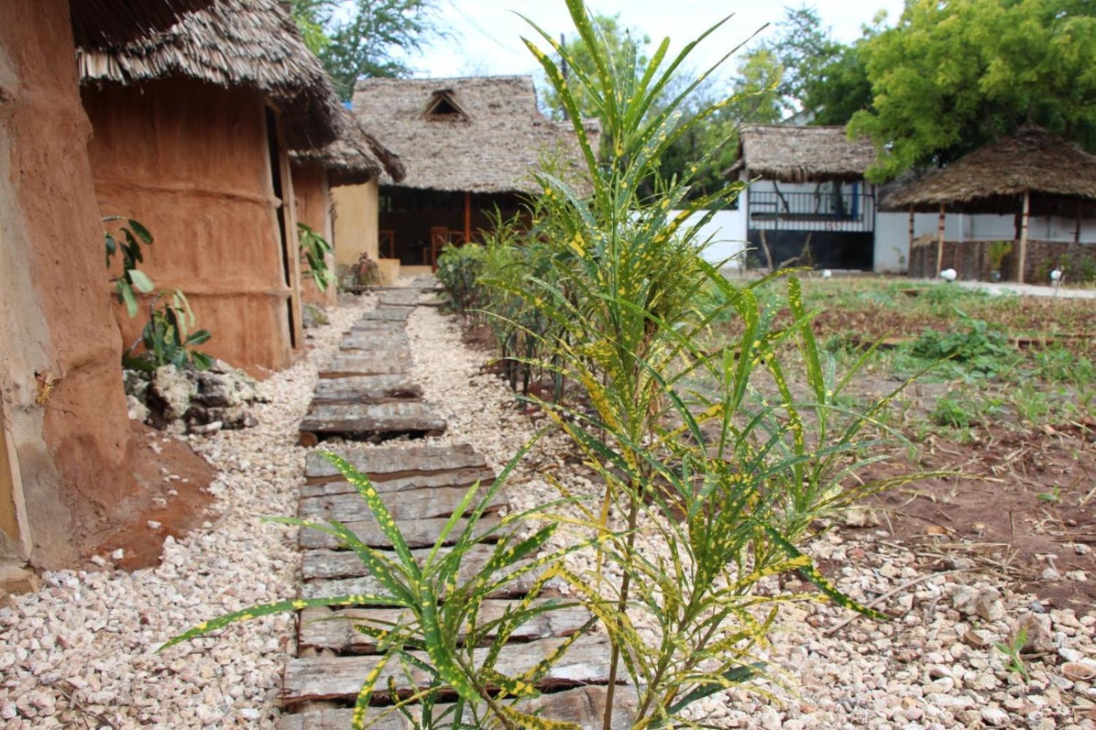 Zanzigo Hotel Nungwi Kültér fotó