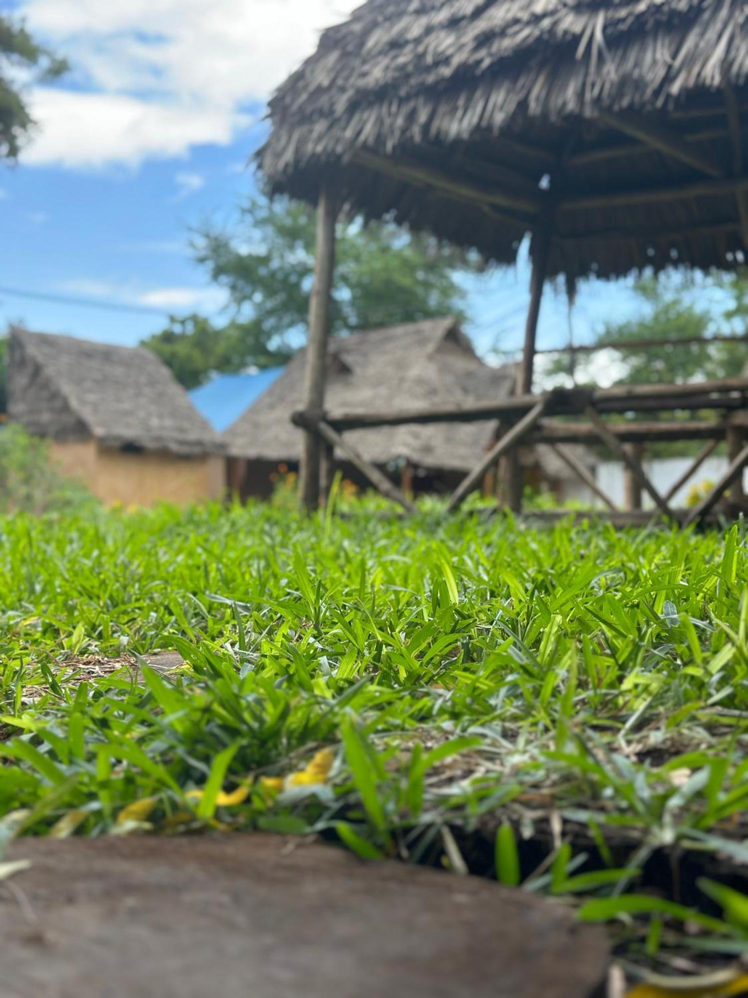 Zanzigo Hotel Nungwi Kültér fotó